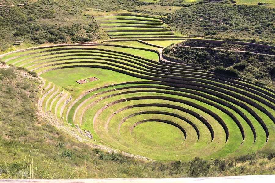 Moray